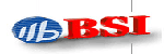 BS616UV2019TIP10 BS616UV2019TI85 BS616UV2019TCP85 BS616UV2019DIG10 BS616UV2019TCP10 BS616UV2019TI10 BS616UV2019TIG10 BS6