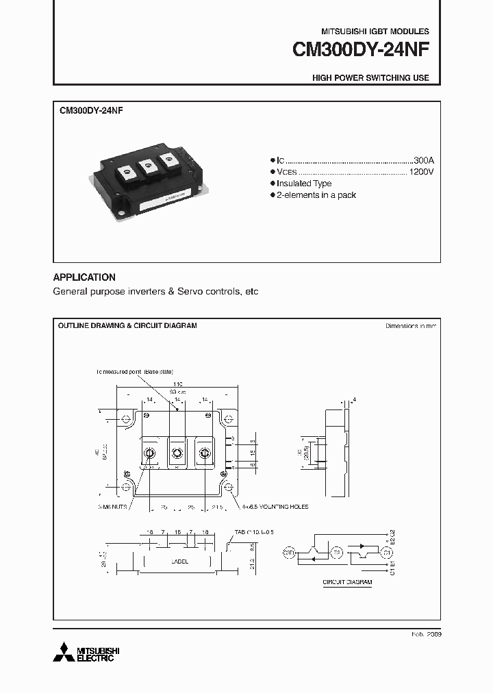 CM300DY-24NF_4573043.PDF Datasheet