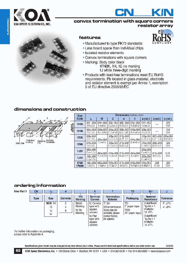 CN1E4NKTTD101F_4582299.PDF Datasheet