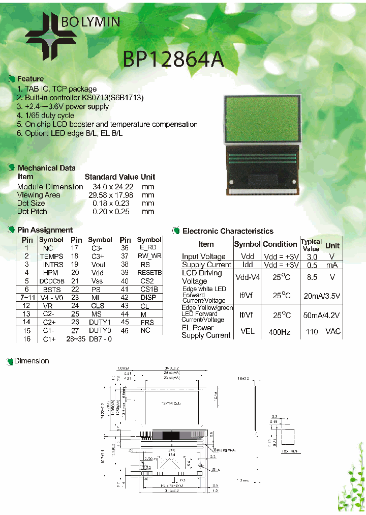 BP12864A_132653.PDF Datasheet