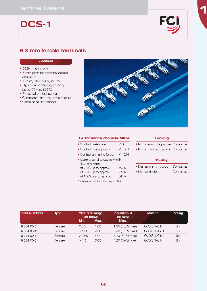 60040031_1613696.PDF Datasheet