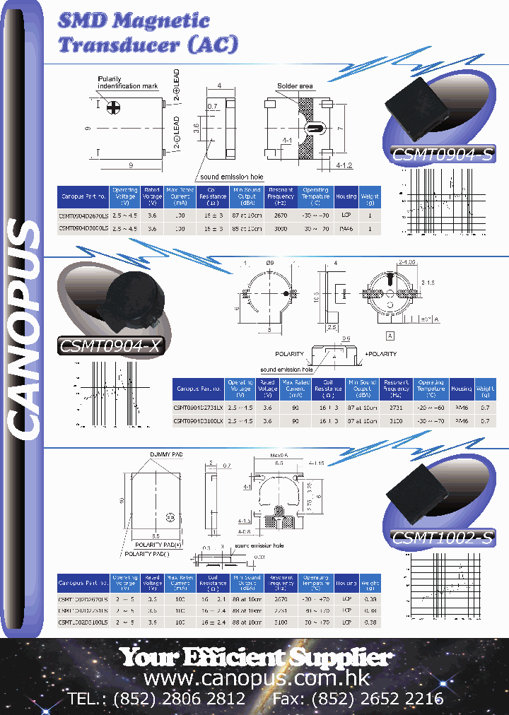 CSMT1002D3100LS_2744783.PDF Datasheet