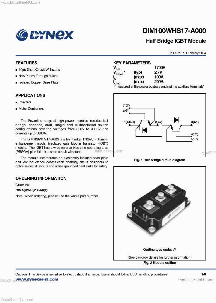 DIM100WHS17-A000_3676247.PDF Datasheet