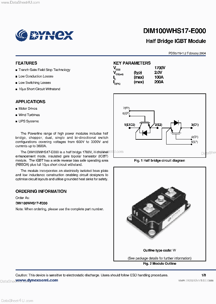 DIM100WHS17-E000_3676248.PDF Datasheet