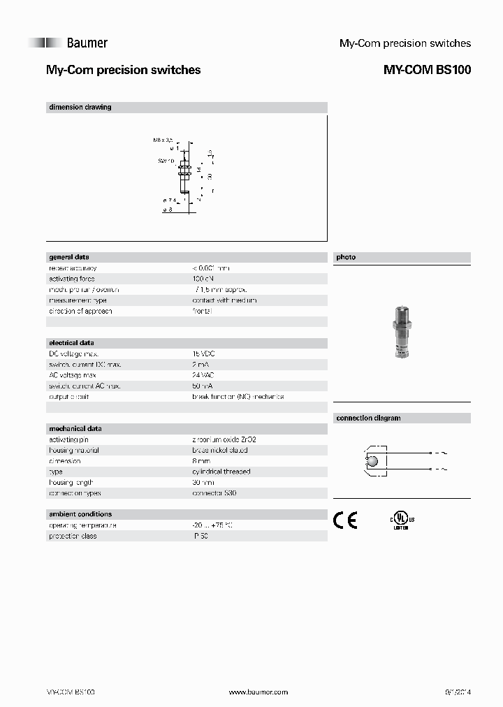 BS100_8253625.PDF Datasheet