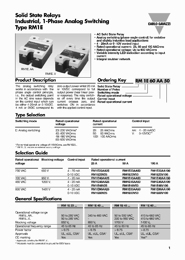 RM1E60AA50_8302077.PDF Datasheet